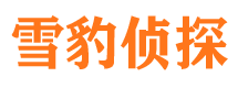 新余商务调查